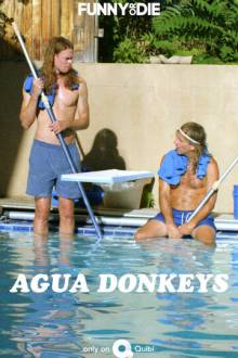 Agua Donkeys