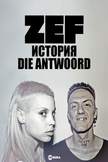 ZEF: История Die Antwoord