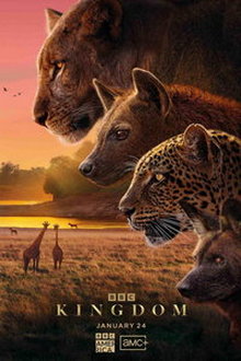 Царство животных